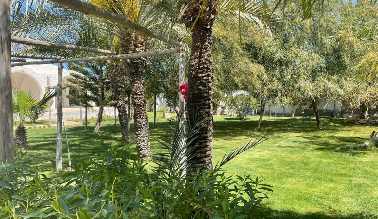 villa-location-vacances-djerba (37)