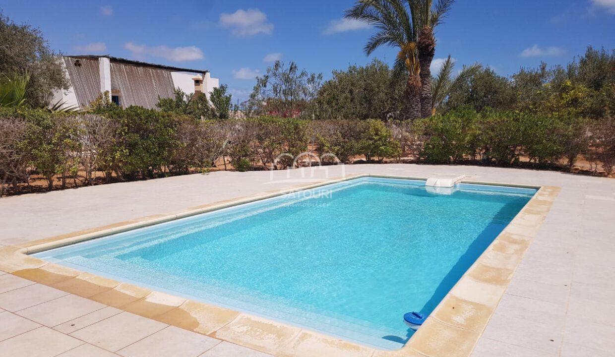 djerba-location-piscine-villa (16)
