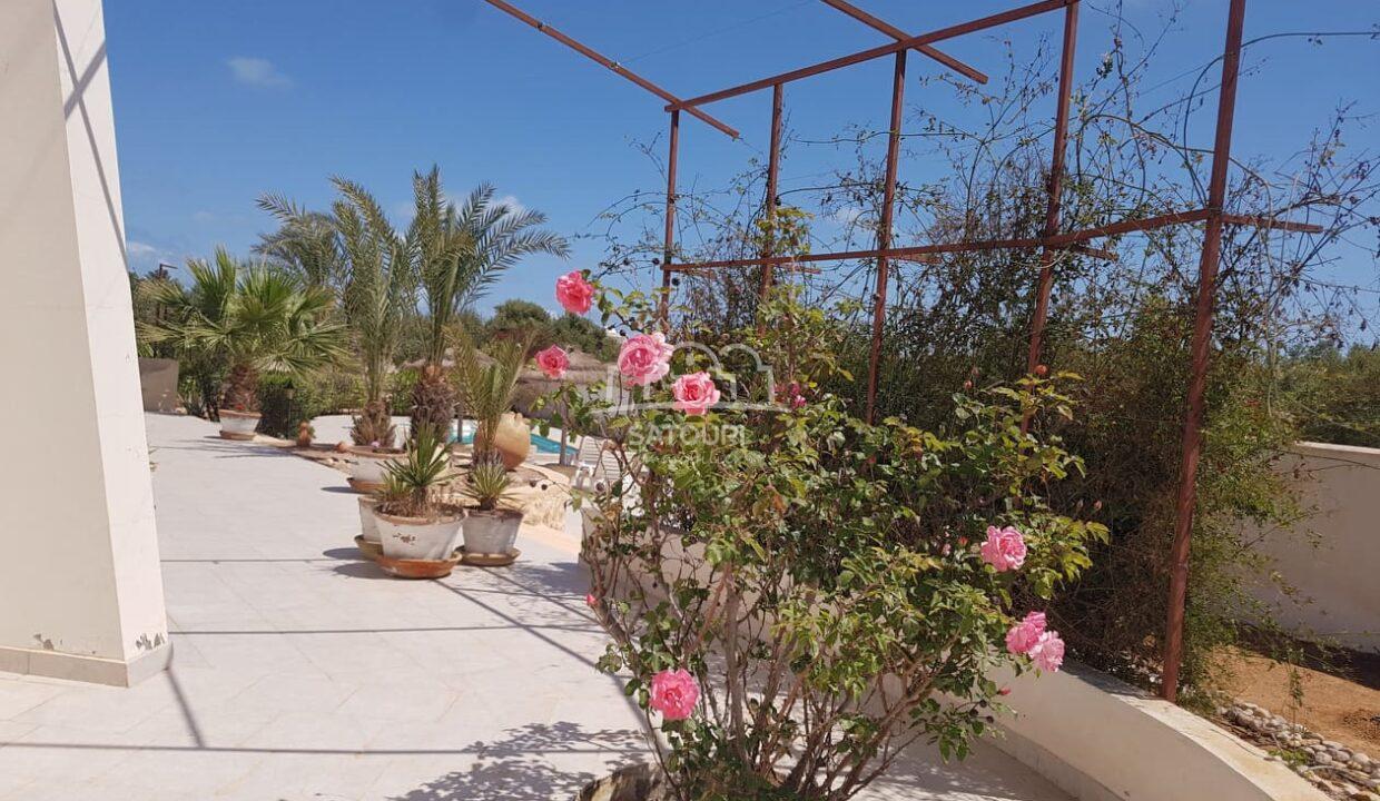 vacances-djerba-piscine-villa (6)