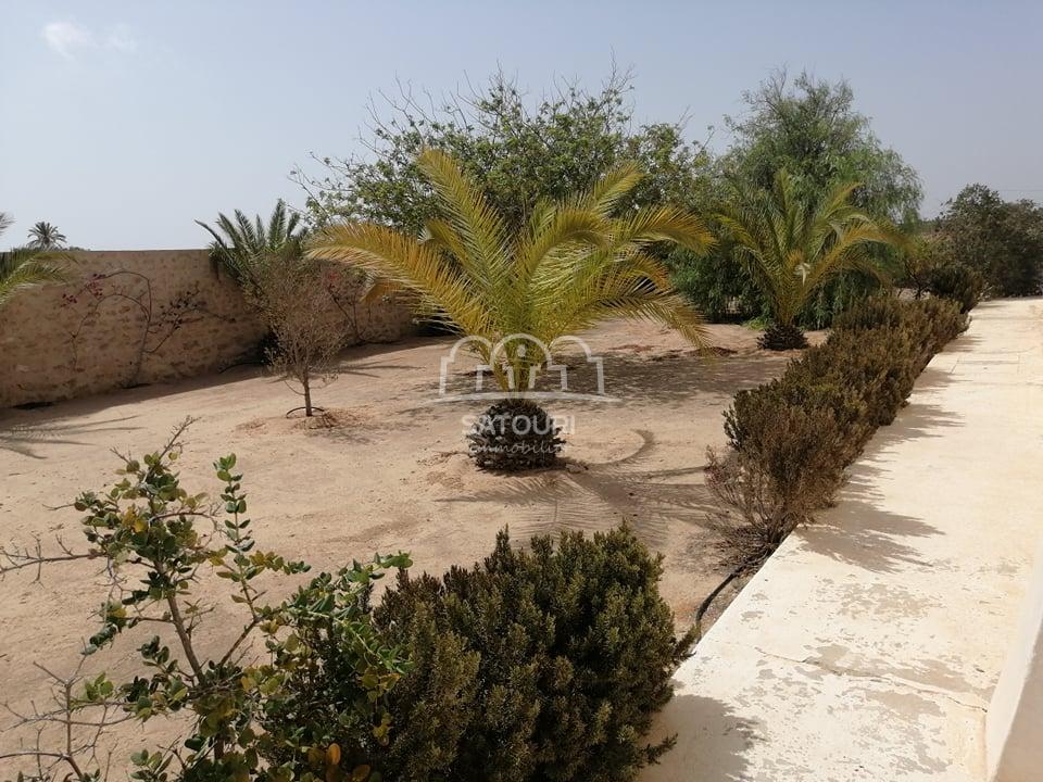 villa-djerba-vente-achat-piscine-typique-djerbien (3)
