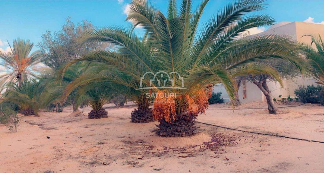 WhatsApp Image 2022-09-23 at 12.47.28